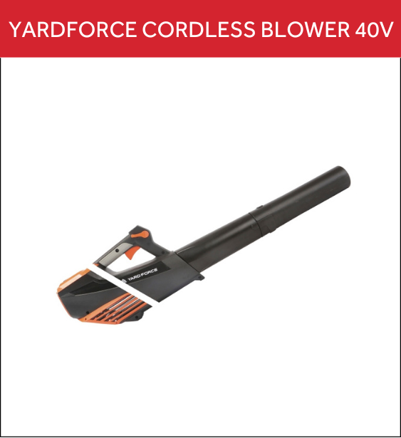 Cordless Blower 40V